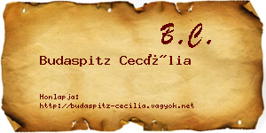 Budaspitz Cecília névjegykártya